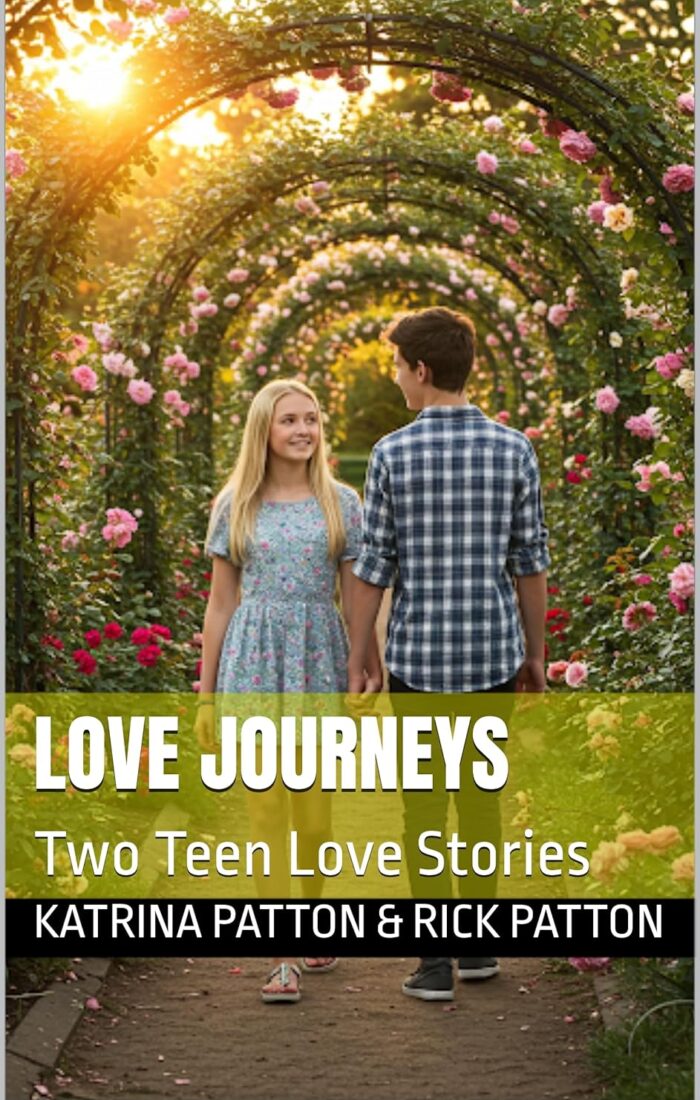 love journeys two teen love stories