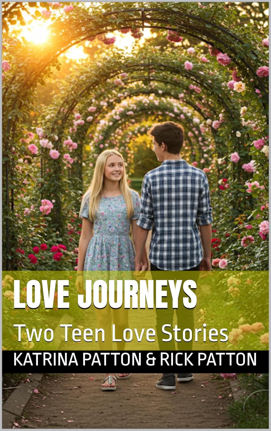 love journeys two teen love stories